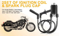 2 Sets of Ignition Coils for Honda VT1100C VT1100C2 VT1100C3 (1987–2000)