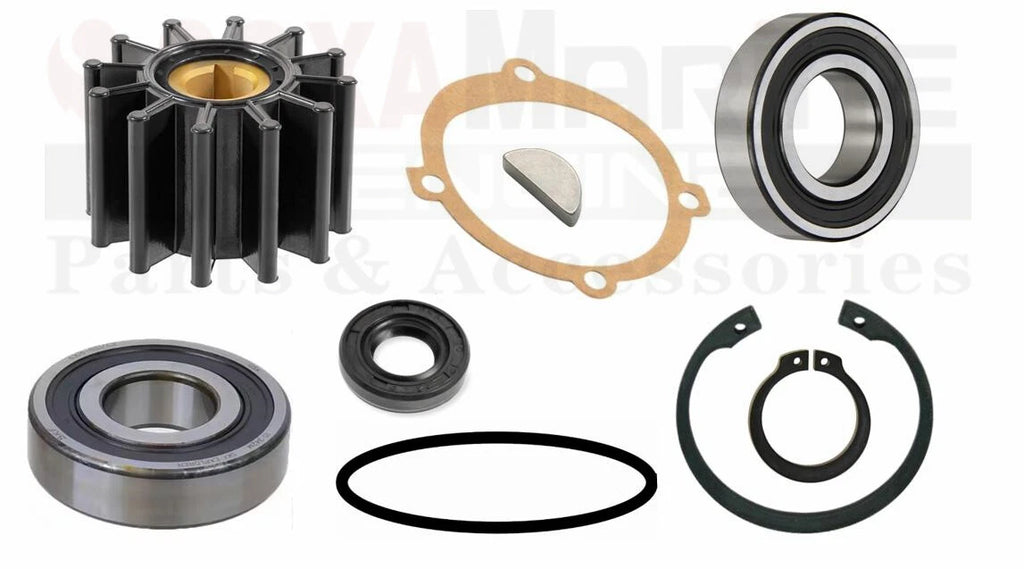 Minor Repair Kit 19300 for Sherwood Pump P101 P1012 (40064)