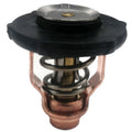 Thermostat with Seal for Yamaha Outboard 75-90 HP (4-Stroke) (18-3641, 6FP-12411-00-00)