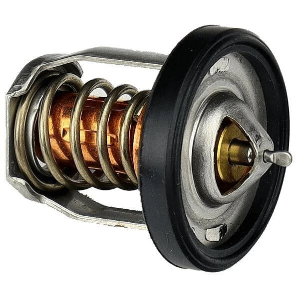 Thermostat 5036226 for Johnson Evinrude OMC 25HP (J25 BJ25)