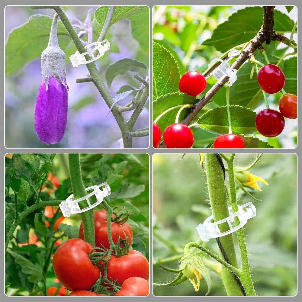 300Pcs Plant Support Clips for Grape Tomato Trellis