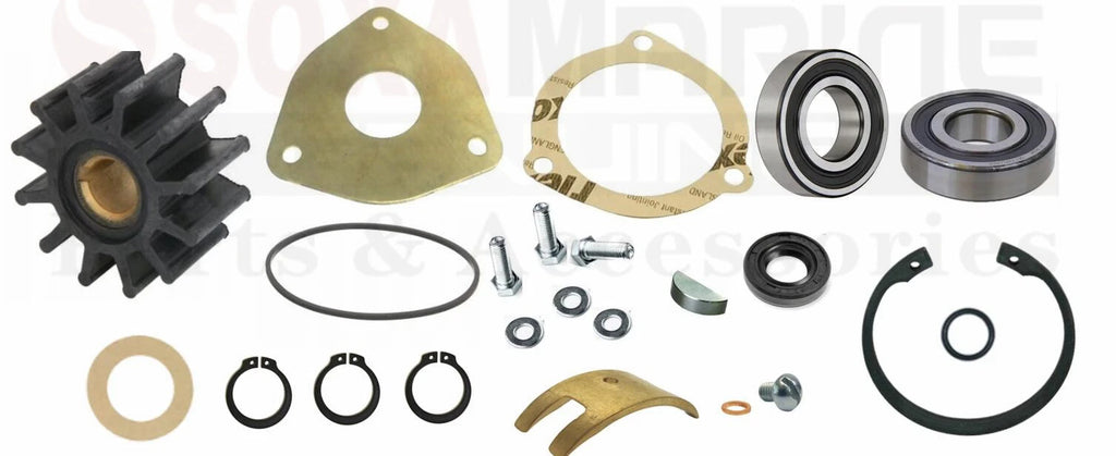 Major Pump Repair Kit for Sherwood G903 G908 (Universal) 42175 042175 302648 302837